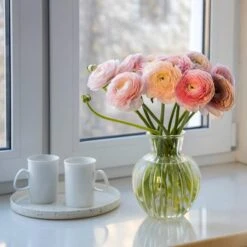 Pastel Ranunculus Mix -PlantAura Shop pastel ranunculus mix pastel persian buttercup mix window still vase